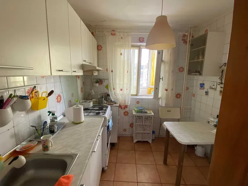 Tei, Maica Domnului, Domino, Parcul Circului, Lidl, adiacent