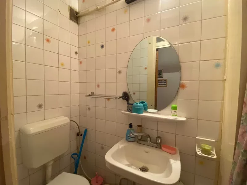 Tei, Maica Domnului, Domino, Parcul Circului, Lidl, adiacent
