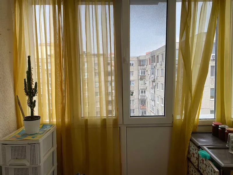 Tei, Maica Domnului, Domino, Parcul Circului, Lidl, adiacent