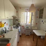 Tei, Maica Domnului, Domino, Parcul Circului, Lidl, adiacent
